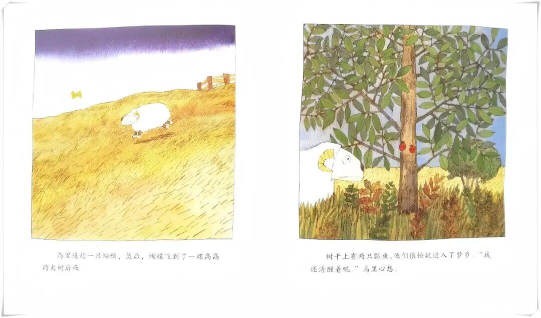 繪本故事 | 小羊睡不著